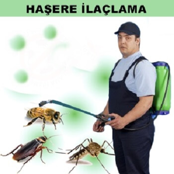 Genç Böcek İlaçlama